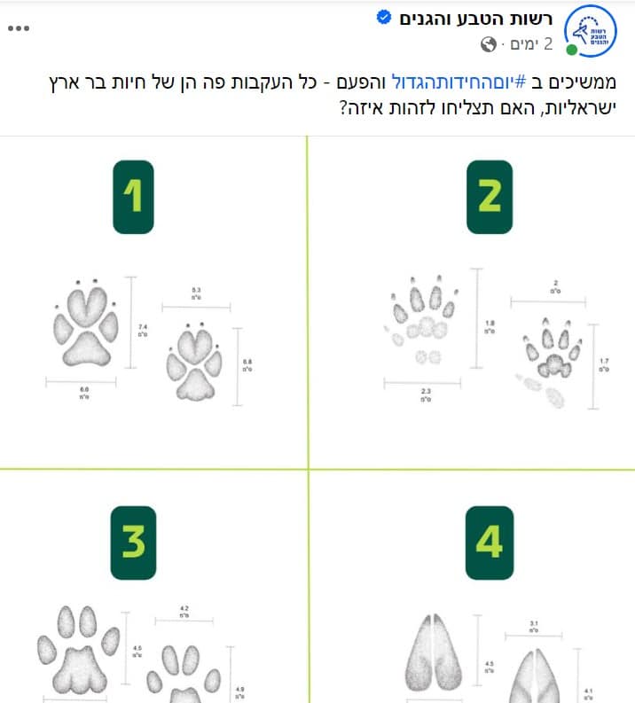 רשות 3
