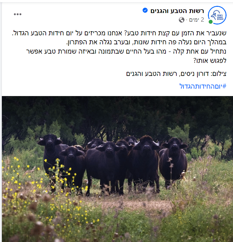 רשות2